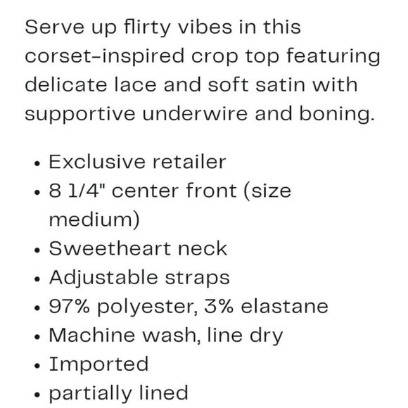 NEW Urban Outfitters BDG Lace and Satin Corset Crop Top Sz Small NWOT - Picture 10 of 11